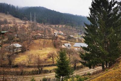 Teren de 2000 mp, în Stejaru (Pângărați) - 1