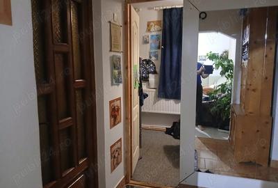 Casă cu Teren 18000 Mp în Vaida-Cămăraș - 4