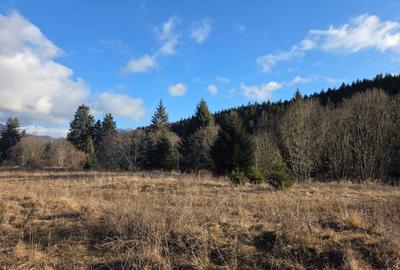 Spațiu comercial, în Central - 2