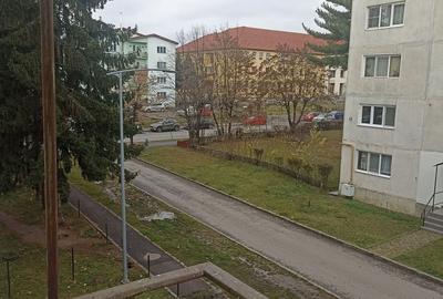 De vânzare apartament cu 2 camere în Sfântu Gheorghe - 2