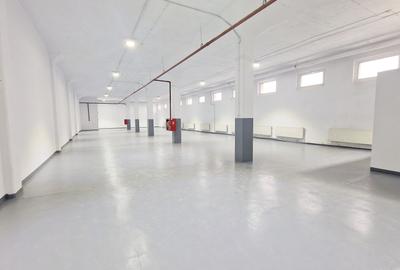 Spații multifuncționale – Depozitare / Producție ușoară / Logistica