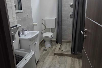 Apartament cu 2 camere semidecomandat în Aleea Carpați - 3
