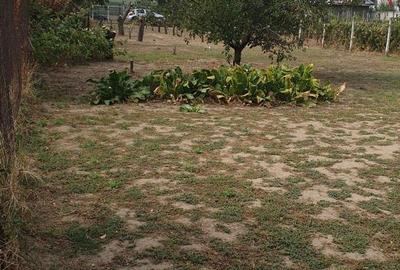 Teren de vânzare Jilava aproape de podul de la Centură, 800 mp, utilitati - 3