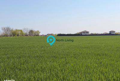 Spațiu comercial, în Balotești - 2