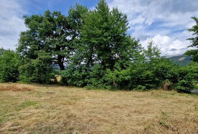 Teren Baia Sprie: 5143 mp, Parcelabil, Comision 0! - 3