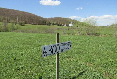 Teren de 4300 mp, în Valea Mare - 3