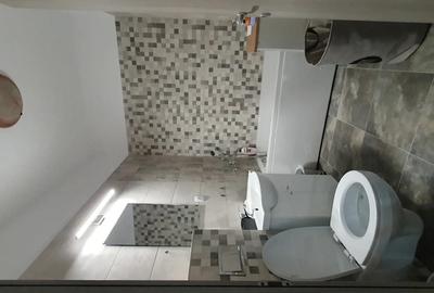 Persoana Fizica Inchiriez apartament 2 camere Tatarasi - 2