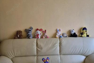 Gasoniera 11000 euro in orasul Victoria jud. Brasov - 4