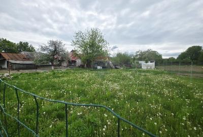 Teren Construcții intravilan de 325 mp, în Dobreni - 3