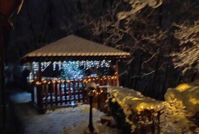 Casă cu 4 camere cu Teren 700 Mp în Lugojel - 3