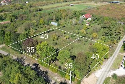 Teren în Viile Satu Mare - 1