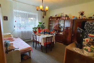 Casa moderna S+P+M cu 10 camere in Alba Iulia Centru - 1