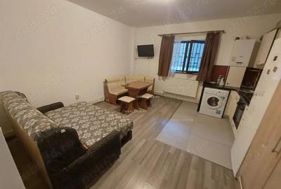 Apartament cu 1 camera in Tatarasi-Doi Baieti,bloc nou - 5