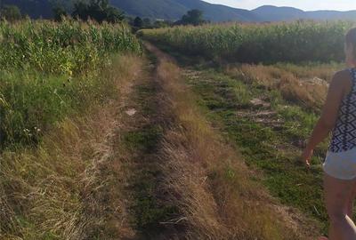 Teren de 2000 mp, în Brănișca - 4