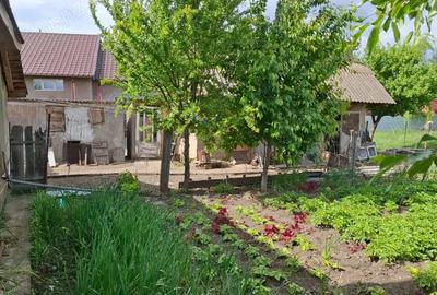 Vand Casa + Teren 700 mp in Lunca Pa?cani - 5