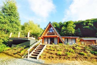 Cabana A-frame ,, Padurea Cerbilor - 1