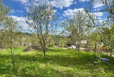 Teren de 1872 mp, în Moțăieni - 7