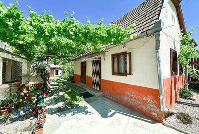 Casă cu 4 camere cu Teren 998 Mp în Central - 8