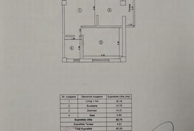 Apartament cu 2 camere semidecomandat în Valea Lupului - 2