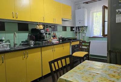 Apartament cu 3 camere decomandat în Zarand - 3