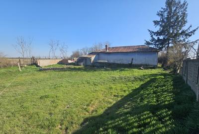 Casa de in Mihailesti I Posta Casa de in Mihailesti I Posta - 4