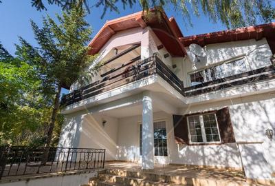 Spațiu comercial, de 474 mp, în Snagov - 11