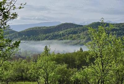 Casă cu Teren 5000 Mp în Răchitova - 1
