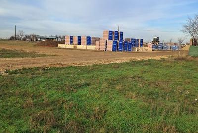 Teren de 2367 mp, în Nojorid - 7