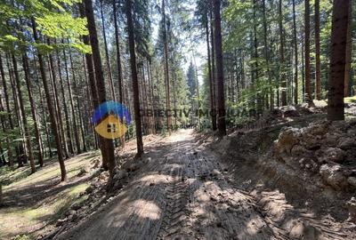 Teren cu o locatie de vis in Pangarati 53 m deschidere la strada - 5