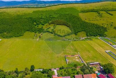 Teren de 612 mp, în Zizin - 6
