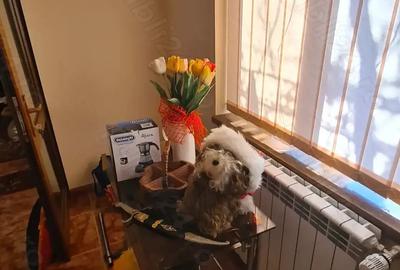 Casă cu 4 camere cu Teren 1730 Mp în Bucești - 8