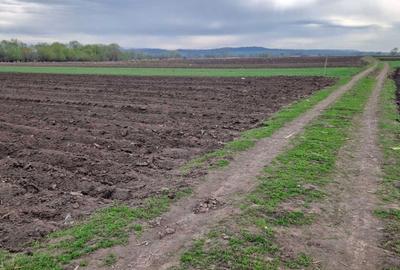 Spațiu comercial, în Rădăuți - 7