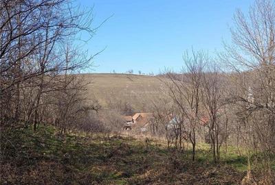 Bradisoru de Jos, Casa 2 Cam. + Teren 1439MP - 7