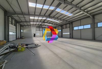 Hala - 1400 mp  # plus-imo.ro - 13