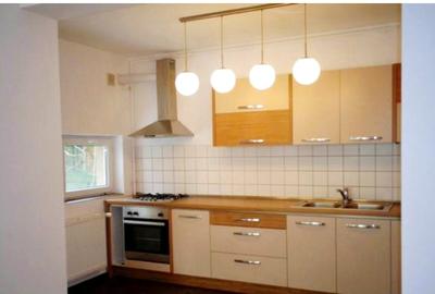 Vila individuala-Complex Aurel Persu-Berceni - 3