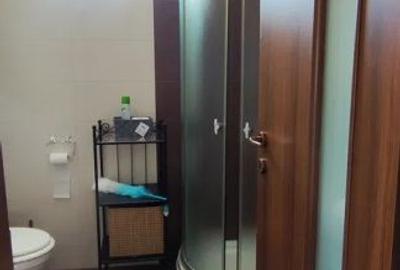 Apartament cu 3 camere, mobilat în Dămăroaia - 10
