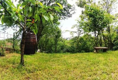 Apartament 2 camere | 65 mp | gradina | Centru | zona Parcul Central - 21