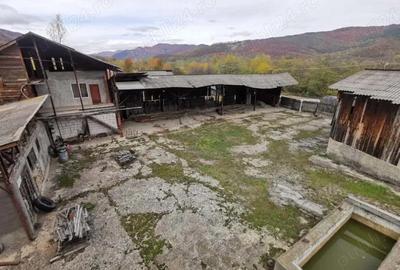Spațiu comercial, de 1,350 mp, în Chirlești - 4