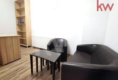 Spatiu birouri, premium, mobilat, Lapus Arges - 6