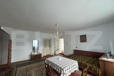 Casa de vanzare, cu 3 camere, 191 mp, la 3 km de Ha?eg - 2