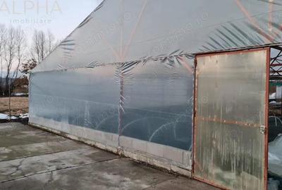 Spațiu comercial, de 1,300 mp, în Blăjenii de Jos - 5