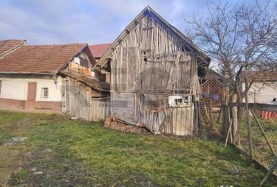 Teren în Cetariu - 10