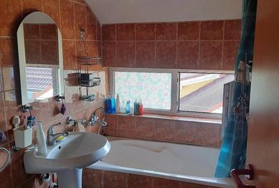Apartament cu 2 camere decomandat în Moșnița Veche - 9