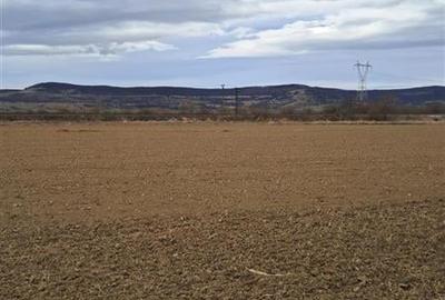 Teren 5000 mp langa E68 - 8