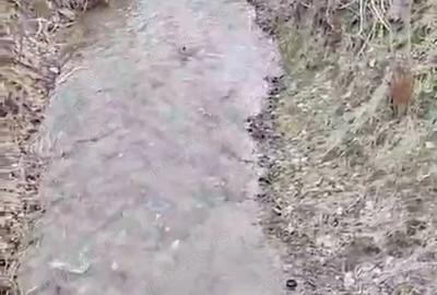 Casă cu 4 camere cu Teren 2000 Mp în Slava Cercheză - 7