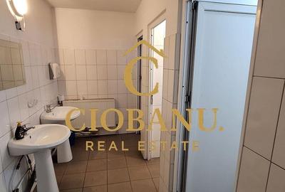 Spațiu comercial, de 1,030 mp, în Ișalnița - 15