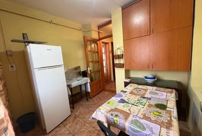 Apartament, 2 camere, decomandat, 59 mp, cartier Brazda lui Novac - 7