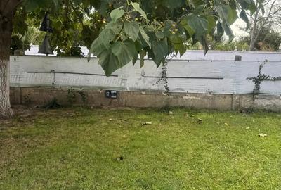 Casa cu pod mansardabil, 20 km de Delta Dunarii - 5