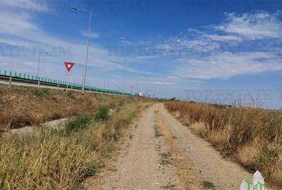 Teren de 5619 mp, în Mihăilești - 3