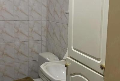 Apartament cu 3 camere semidecomandat în Plantelor - 2